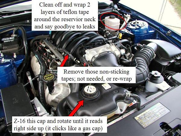 Ponies on The Run!-daryl_2.jpg