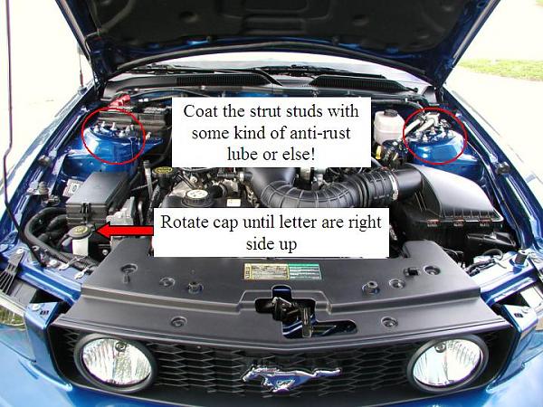 Ponies on The Run!-daryl_3.jpg