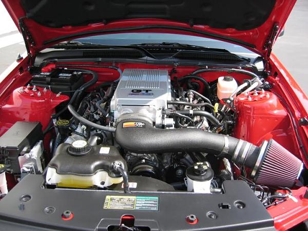 Ponies on The Run!-bill_1.jpg