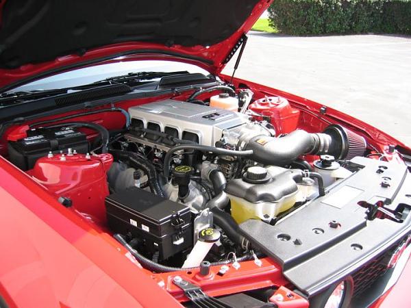 Ponies on The Run!-bill_2.jpg