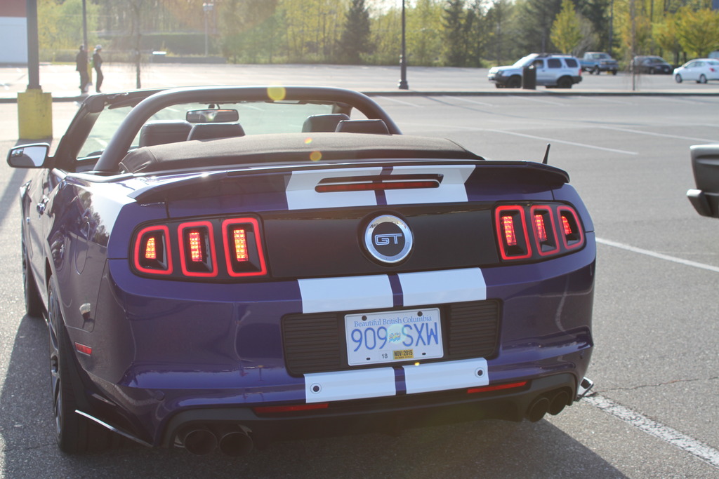 Name:  IMG_0866_zps1ilvywb8.jpg
Views: 76
Size:  200.3 KB