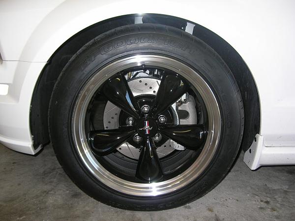 Ponies on The Run!-dscn3303.jpg