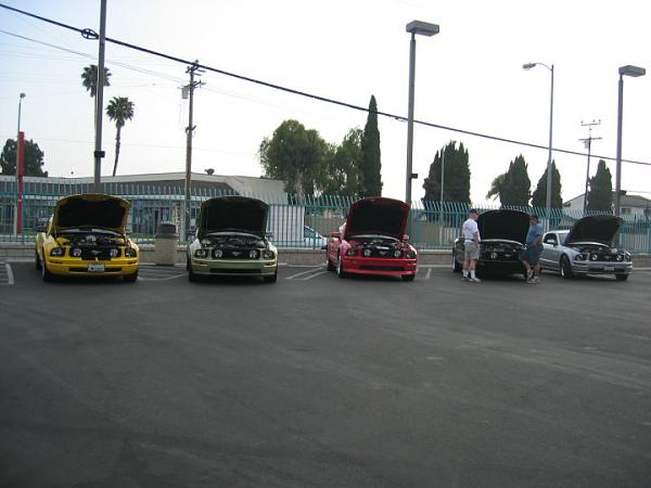 Ponies on The Run!-img_8188m.jpg