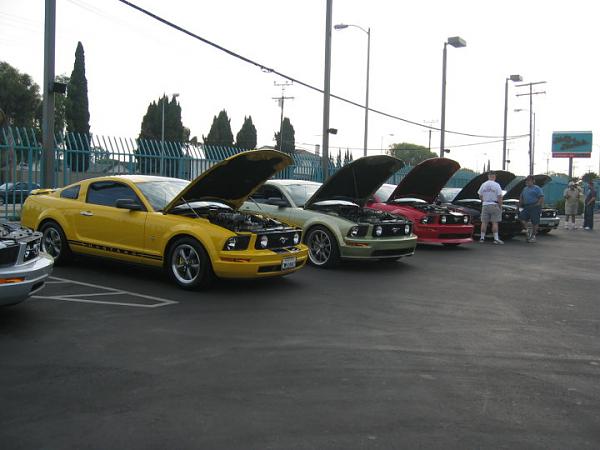 Ponies on The Run!-img_8189m.jpg