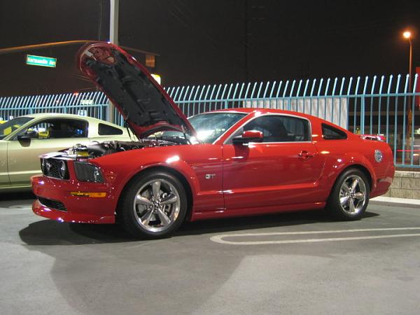 Ponies on The Run!-img_8196m.jpg