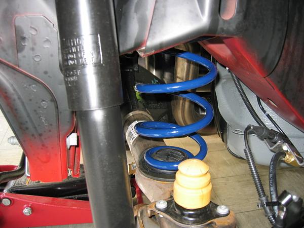 Ponies on The Run!-passengers-side.jpg