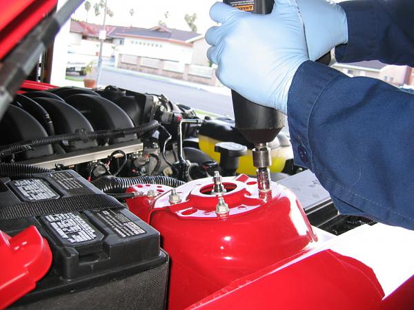 Ponies on The Run!-top-strut-studs.jpg