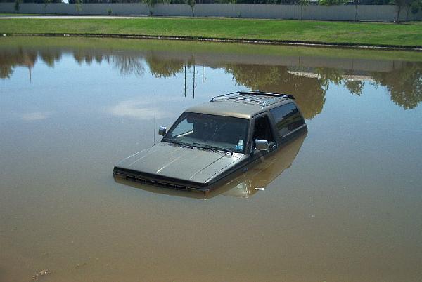 Ponies on The Run!-blazer-2.jpg