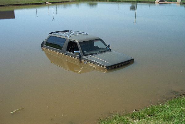 Ponies on The Run!-blazer-1.jpg