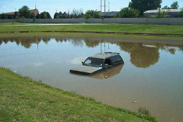 Ponies on The Run!-blazer-3.jpg