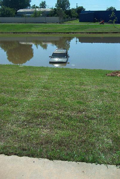 Ponies on The Run!-blazer4.jpg