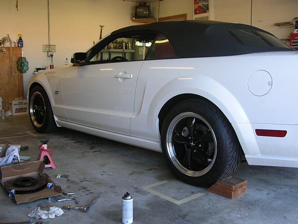 Ponies on The Run!-dscn3311.jpg