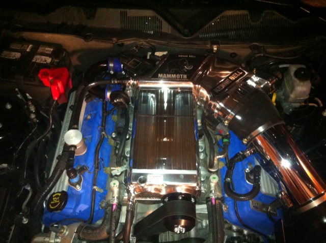 Name:  IMG_0699_zpsdb4a936a.jpg
Views: 36
Size:  110.8 KB