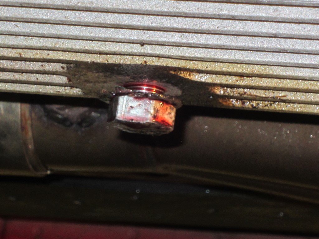 Name:  IMG_7985Medium_zps59a37927.jpg
Views: 47
Size:  182.2 KB