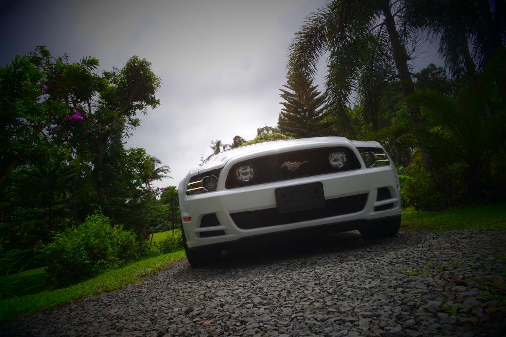 Name:  SAM_0702.jpg
Views: 42
Size:  103.3 KB