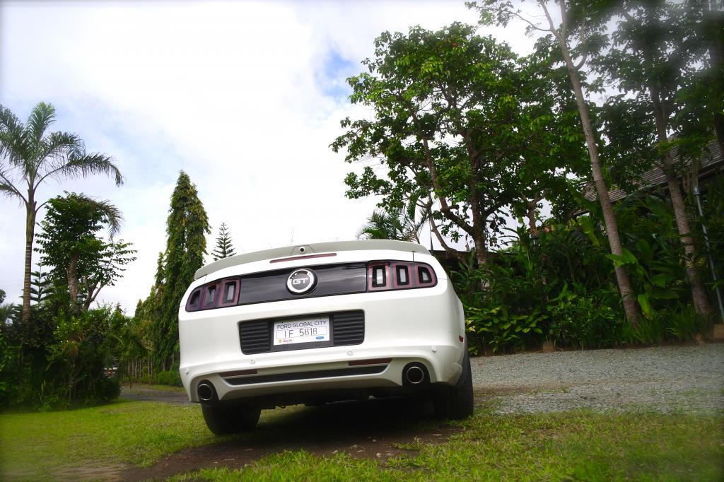 Name:  SAM_0690.jpg
Views: 44
Size:  134.1 KB