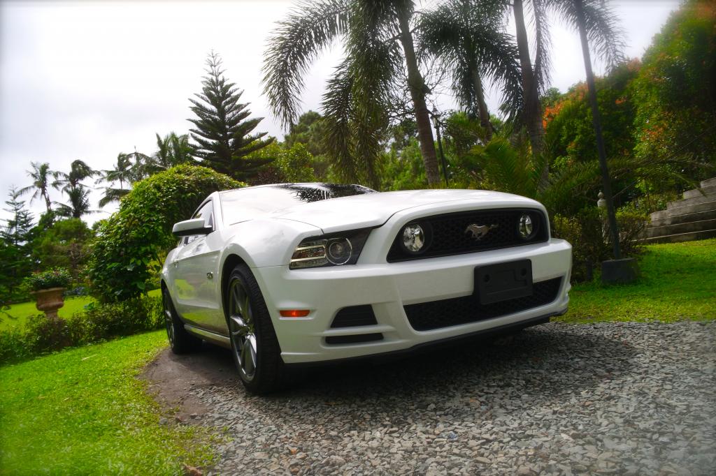 Name:  SAM_0695.jpg
Views: 58
Size:  137.6 KB