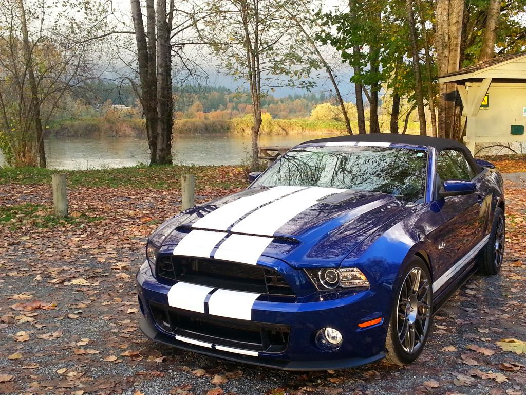 Name:  20141026_171209_zps91a31c1f.jpg
Views: 85
Size:  222.2 KB