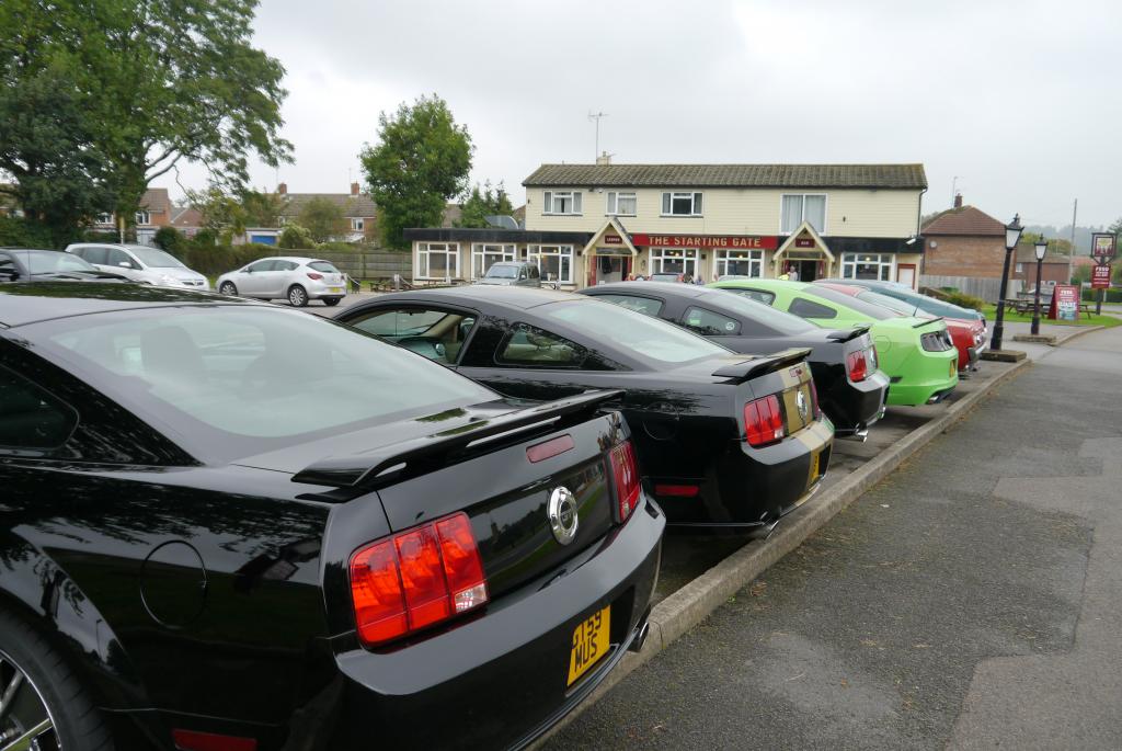 Name:  P1060154_zps876dcb6c.jpg
Views: 55
Size:  103.3 KB