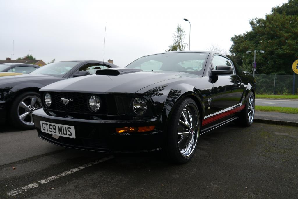 Name:  P1060156_zpsba17548f.jpg
Views: 69
Size:  78.0 KB