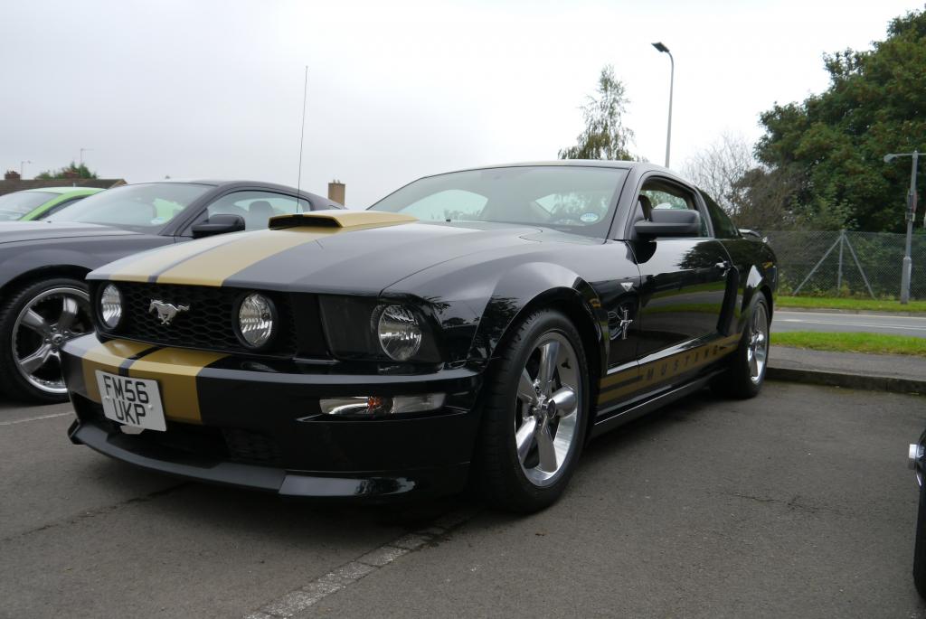 Name:  P1060157_zpsc54c7e2b.jpg
Views: 58
Size:  76.0 KB