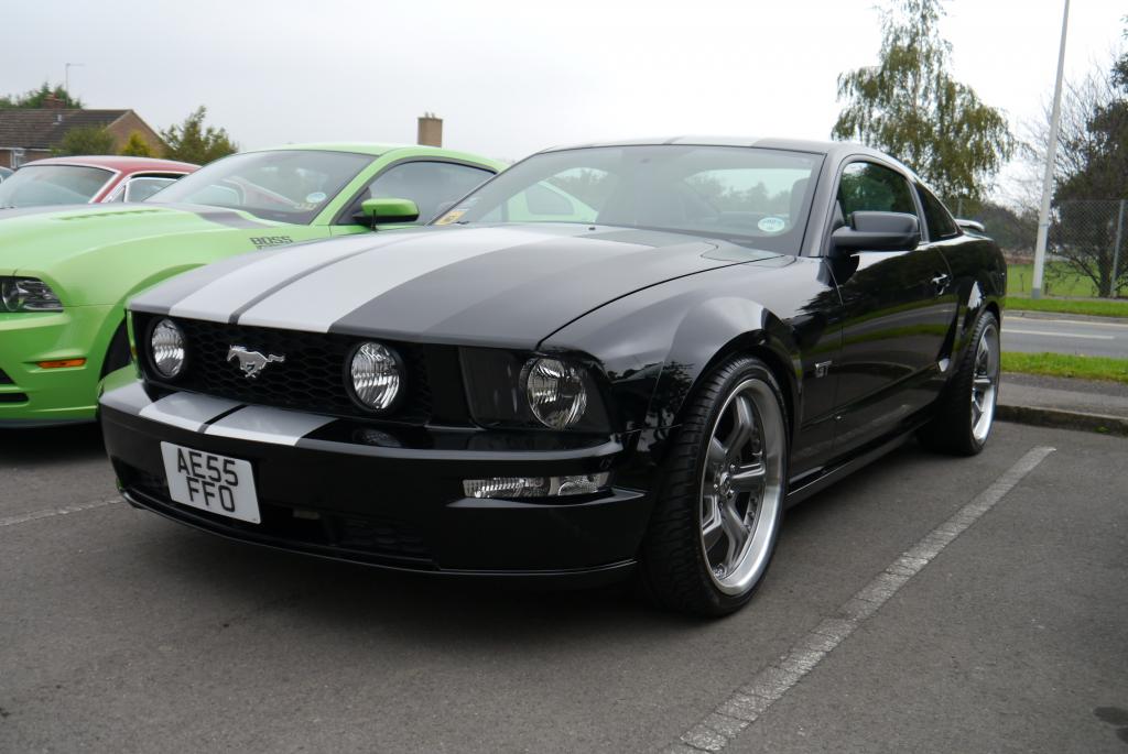 Name:  P1060158_zps213c1579.jpg
Views: 59
Size:  81.6 KB