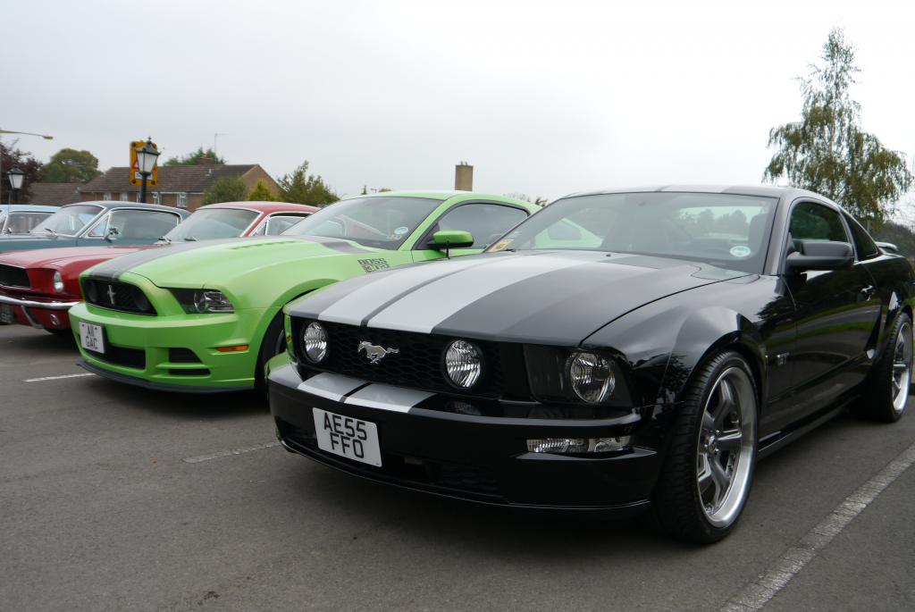 Name:  P1060159_zpsde1e071b.jpg
Views: 58
Size:  75.8 KB