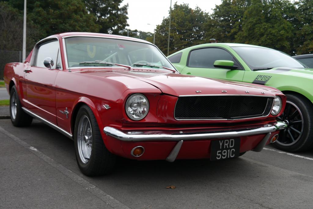 Name:  P1060162_zpsc5945f6b.jpg
Views: 59
Size:  96.5 KB