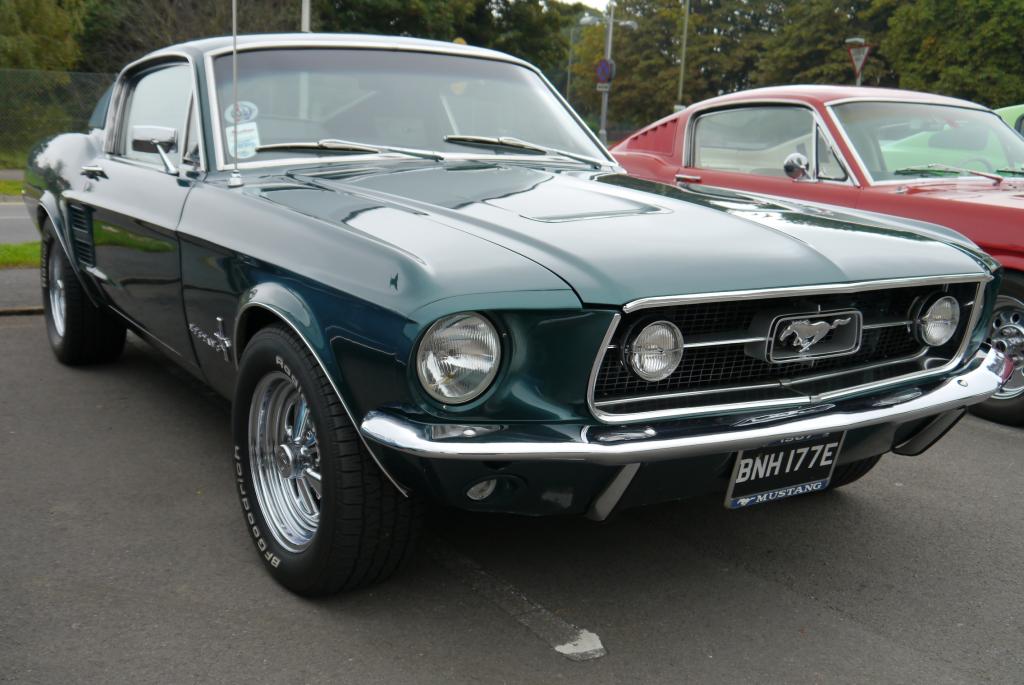 Name:  P1060163_zpsb4ac81ca.jpg
Views: 64
Size:  93.6 KB