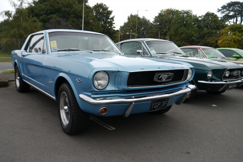 Name:  P1060164_zps35a3571f.jpg
Views: 48
Size:  91.8 KB