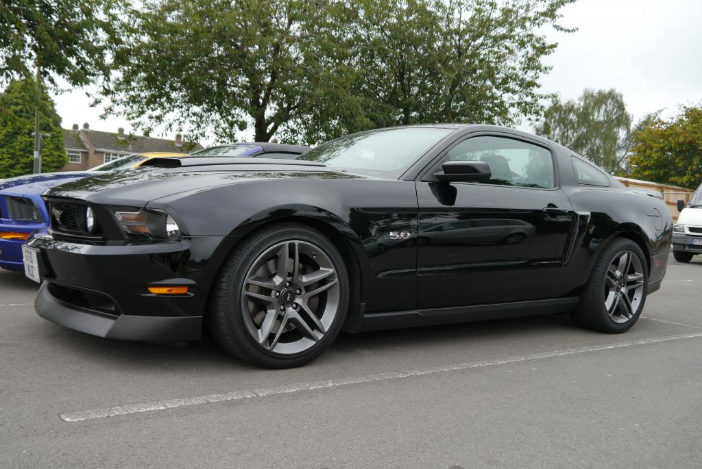 Name:  P1060165_zps99bec9cc.jpg
Views: 137
Size:  123.5 KB