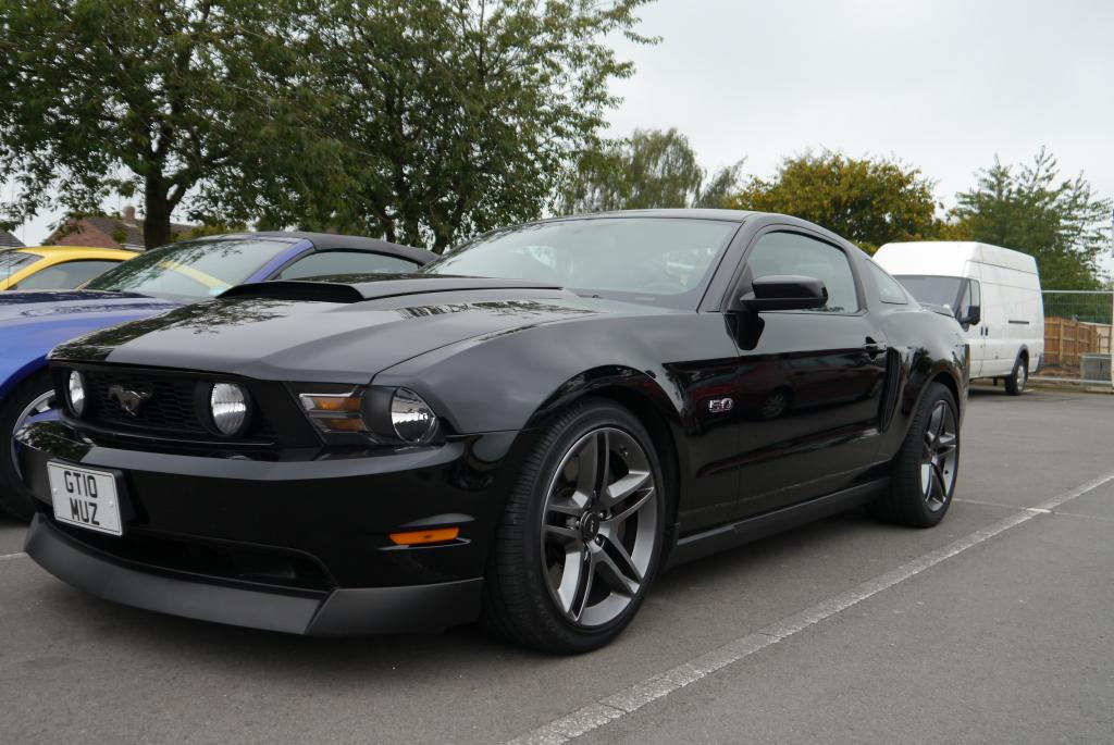 Name:  P1060174_zpsf2f1a90e.jpg
Views: 65
Size:  104.7 KB