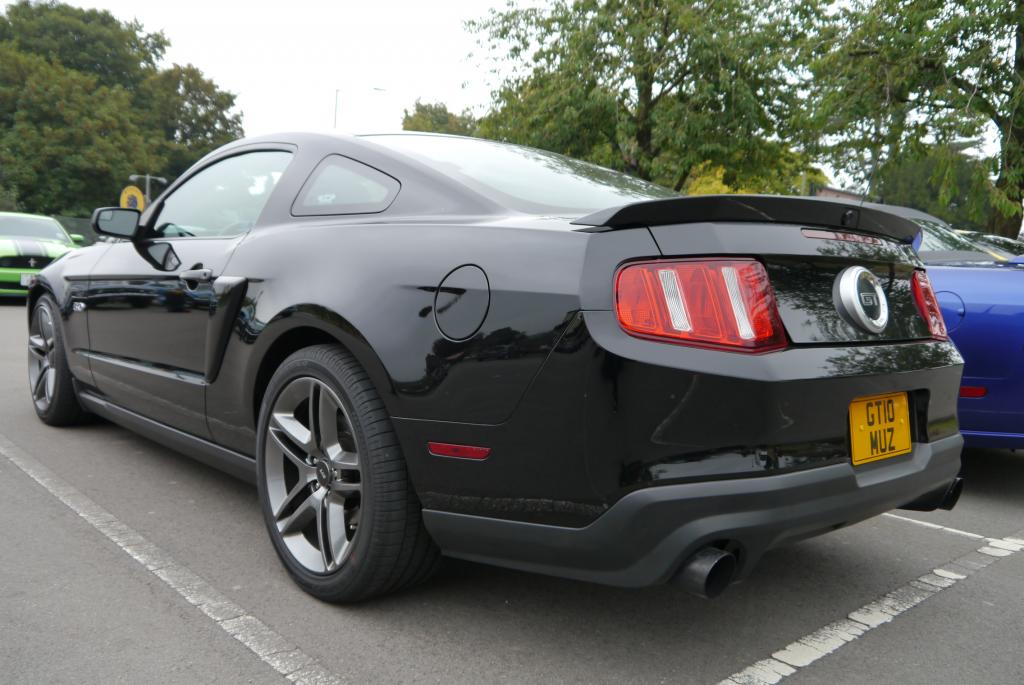 Name:  P1060175_zpsb91a6509.jpg
Views: 57
Size:  97.1 KB