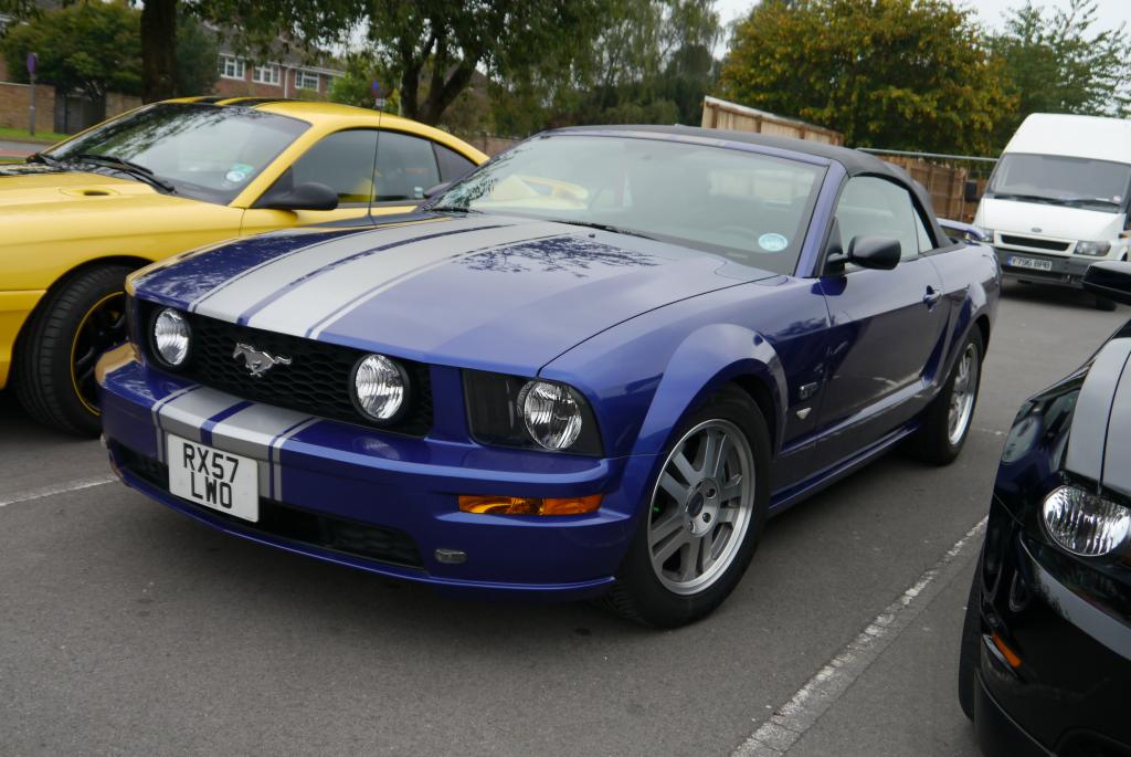 Name:  P1060166_zpsc2c3ba25.jpg
Views: 57
Size:  99.2 KB