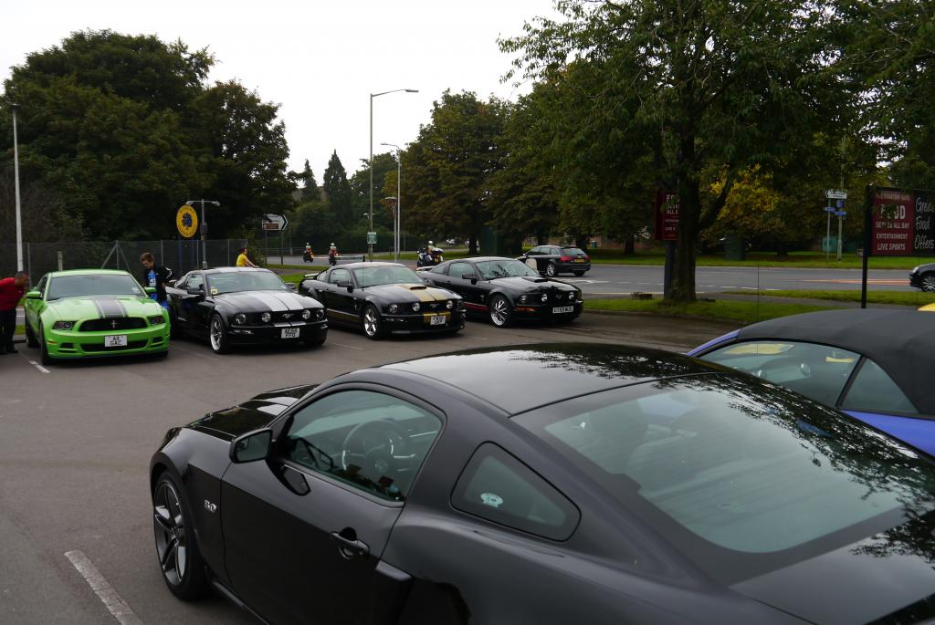 Name:  P1060176_zps532a5a61.jpg
Views: 57
Size:  103.5 KB