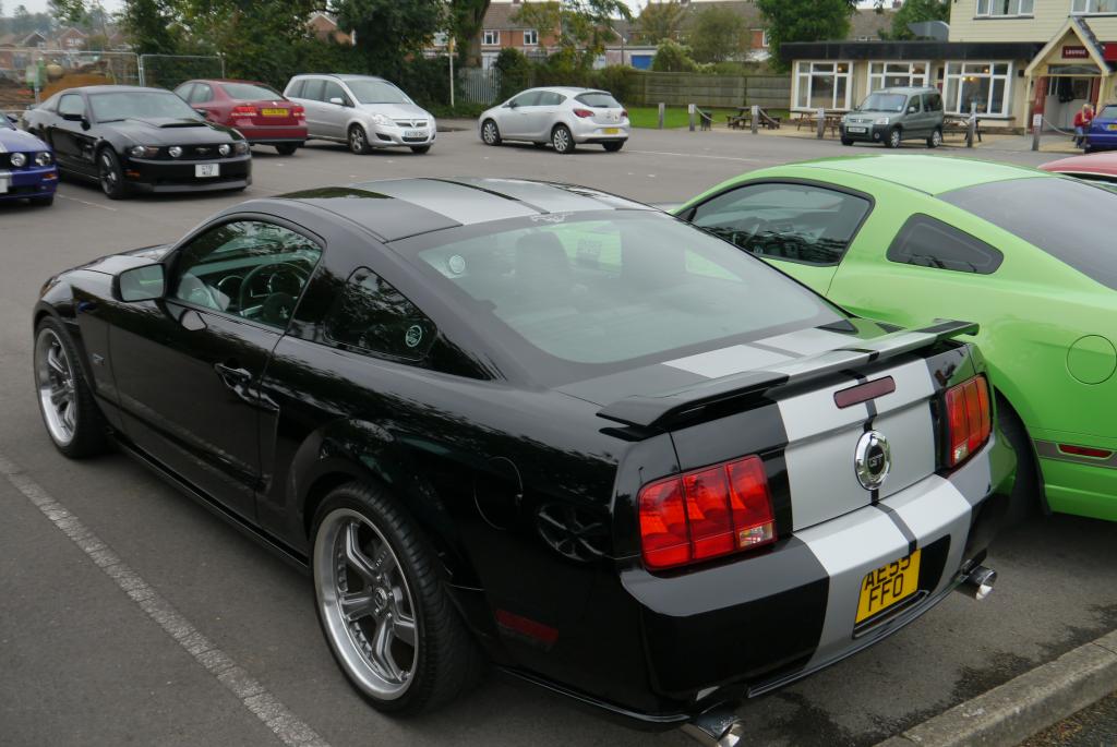 Name:  P1060170_zps411cfedc.jpg
Views: 47
Size:  96.7 KB