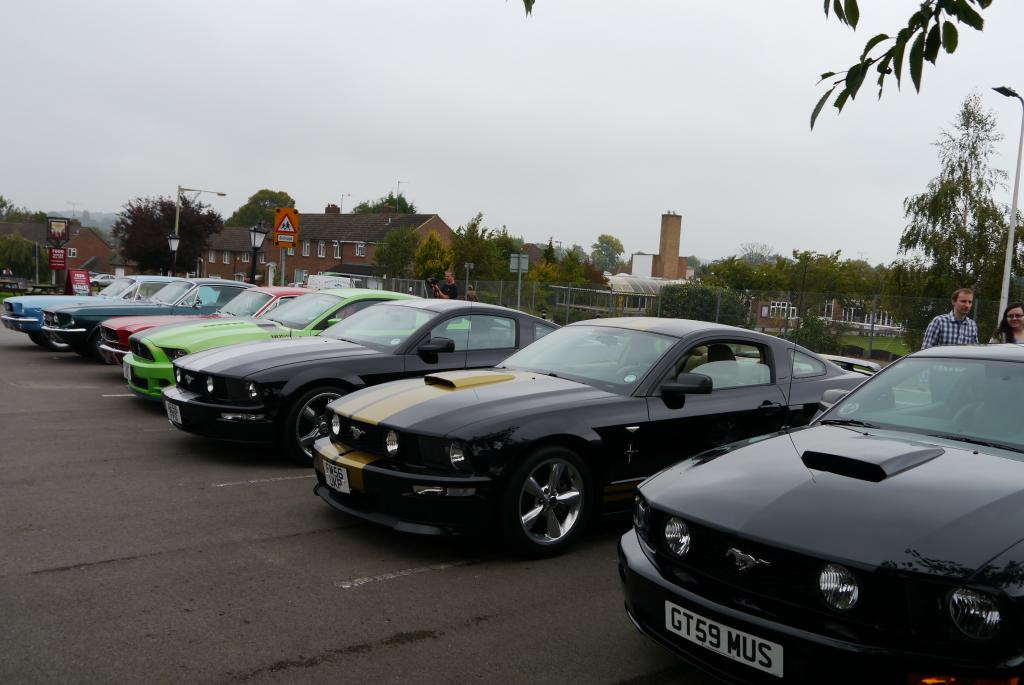 Name:  P1060167_zpsf8a4fb8a.jpg
Views: 57
Size:  81.6 KB