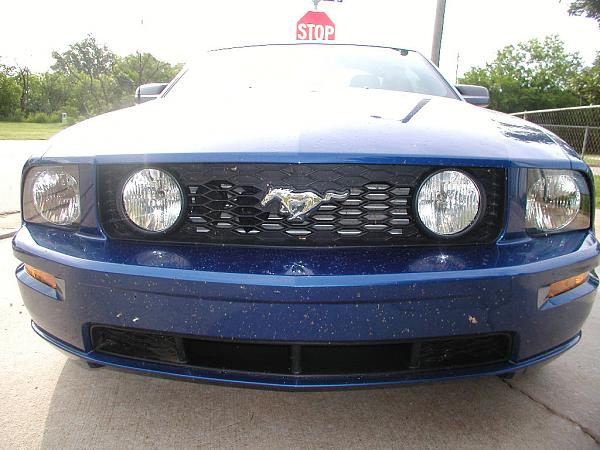 Ponies on The Run!-kc-trip-05-21-06-003a.jpg