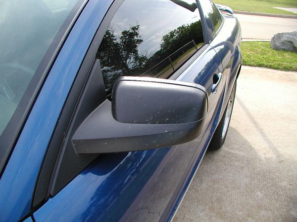 Ponies on The Run!-kc-trip-05-21-06-004a.jpg