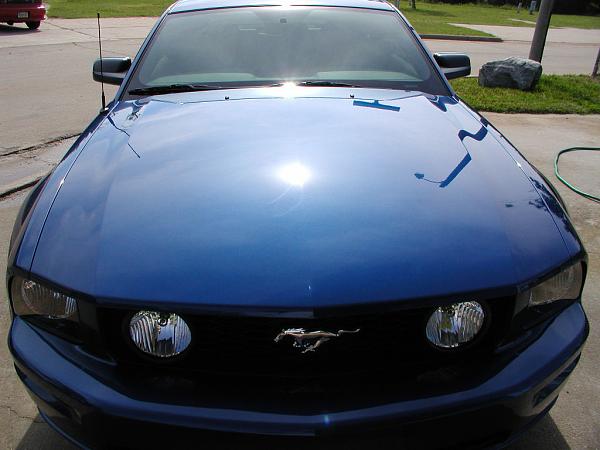 Ponies on The Run!-kc-trip-05-21-06-005a.jpg