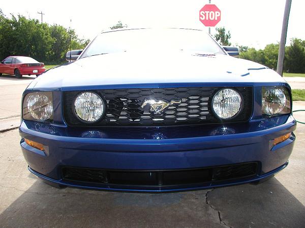 Ponies on The Run!-kc-trip-05-21-06-006a.jpg