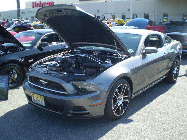 Name:  holman001.jpg
Views: 72
Size:  154.8 KB