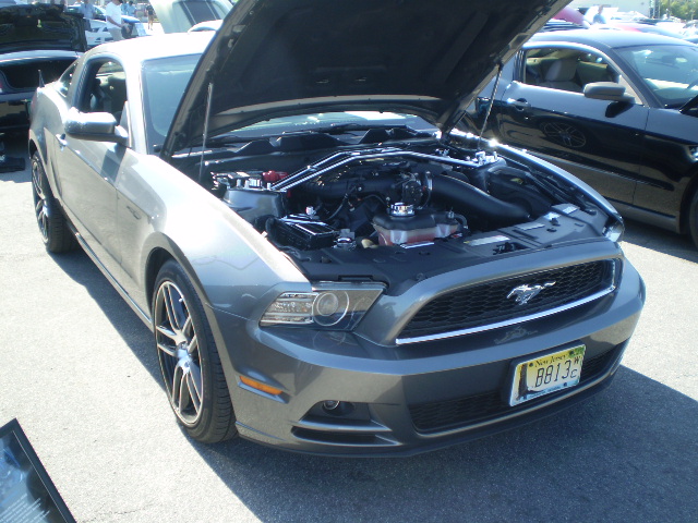 Name:  holman003.jpg
Views: 75
Size:  171.2 KB