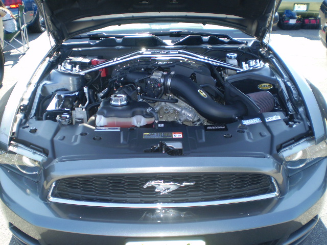 Name:  holman002.jpg
Views: 76
Size:  156.4 KB