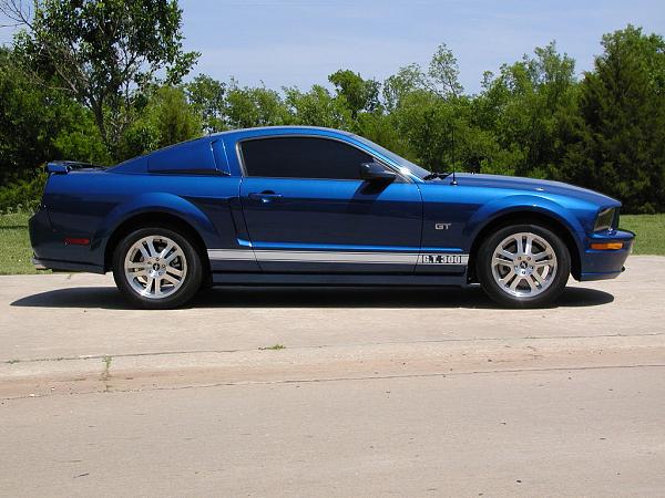 Ponies on The Run!-done-1-web.jpg