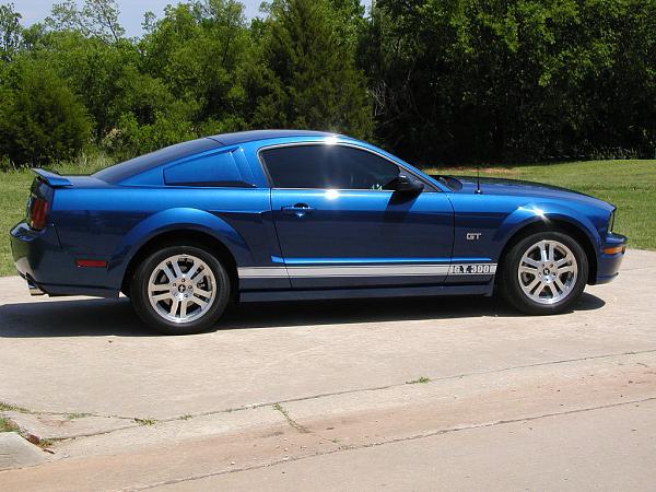 Ponies on The Run!-done-2-web.jpg