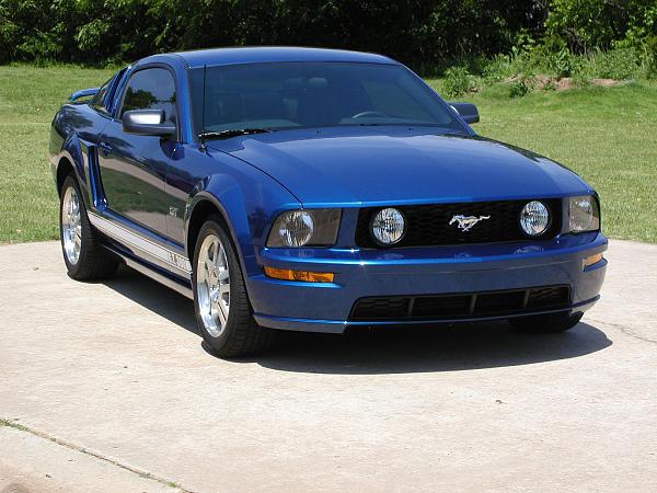 Ponies on The Run!-done-3-web.jpg