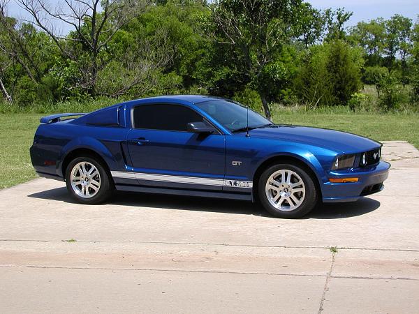 Ponies on The Run!-done-4-web.jpg