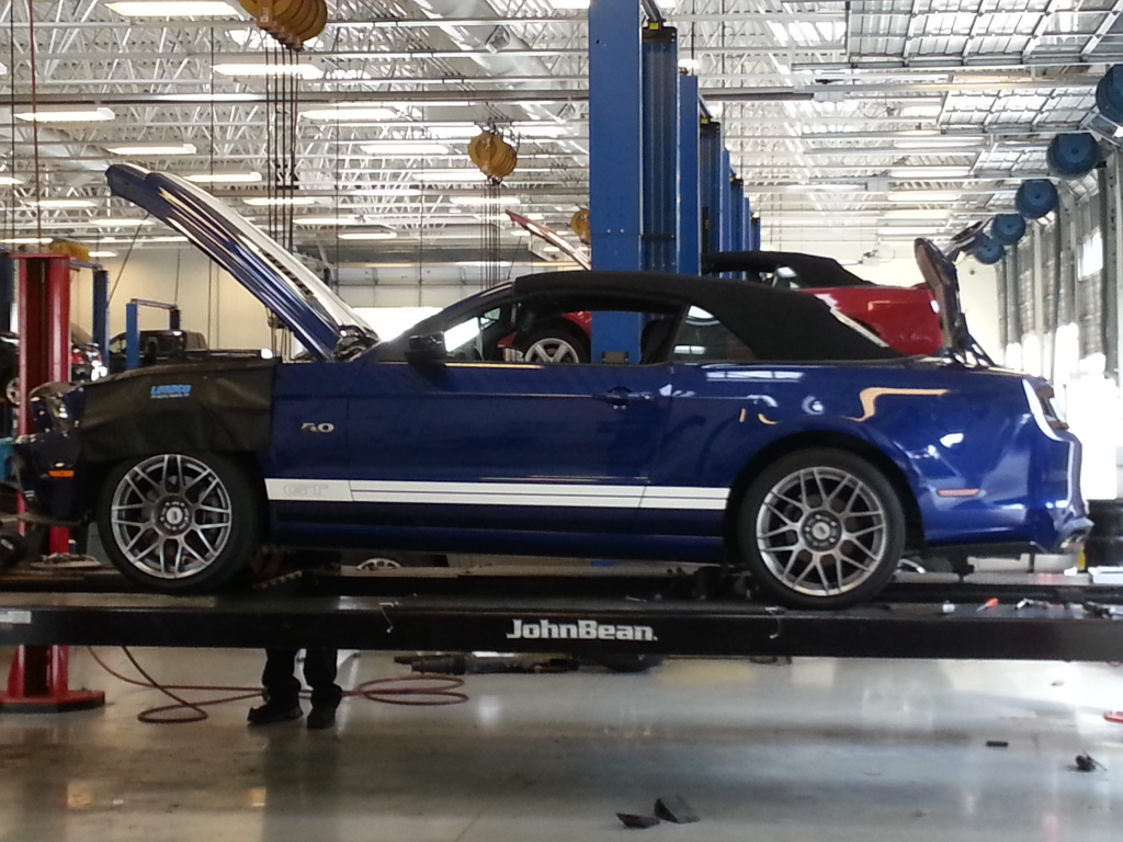 Name:  20140828_152041_zpsb34a36da.jpg
Views: 48
Size:  313.2 KB