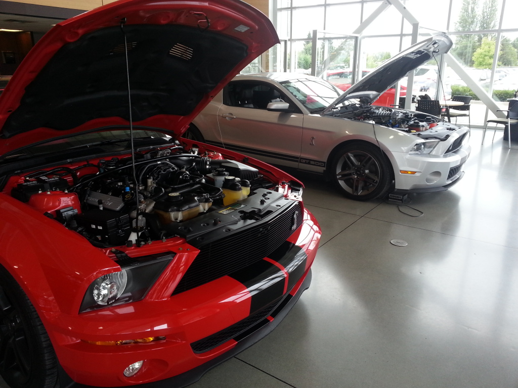 Name:  20140828_101738_zps7110ca29.jpg
Views: 68
Size:  303.2 KB